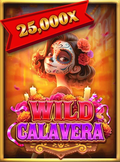 Video slot game cover